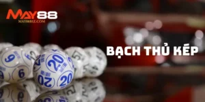 bach-thu-kep-1